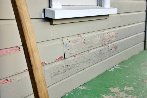 Best Siding Painting and Refinishing  in West Carrollton, OH